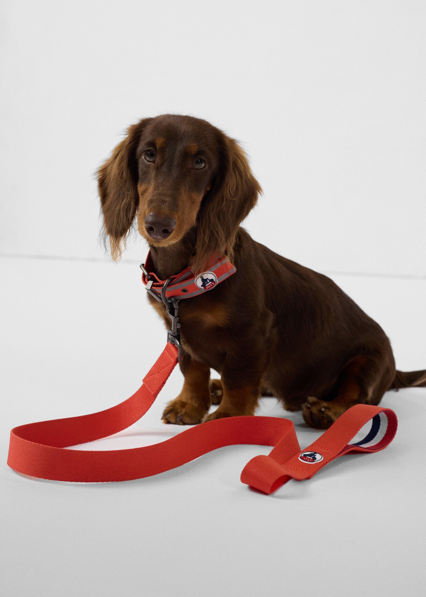 Laisse pour chien Rouge feu Max