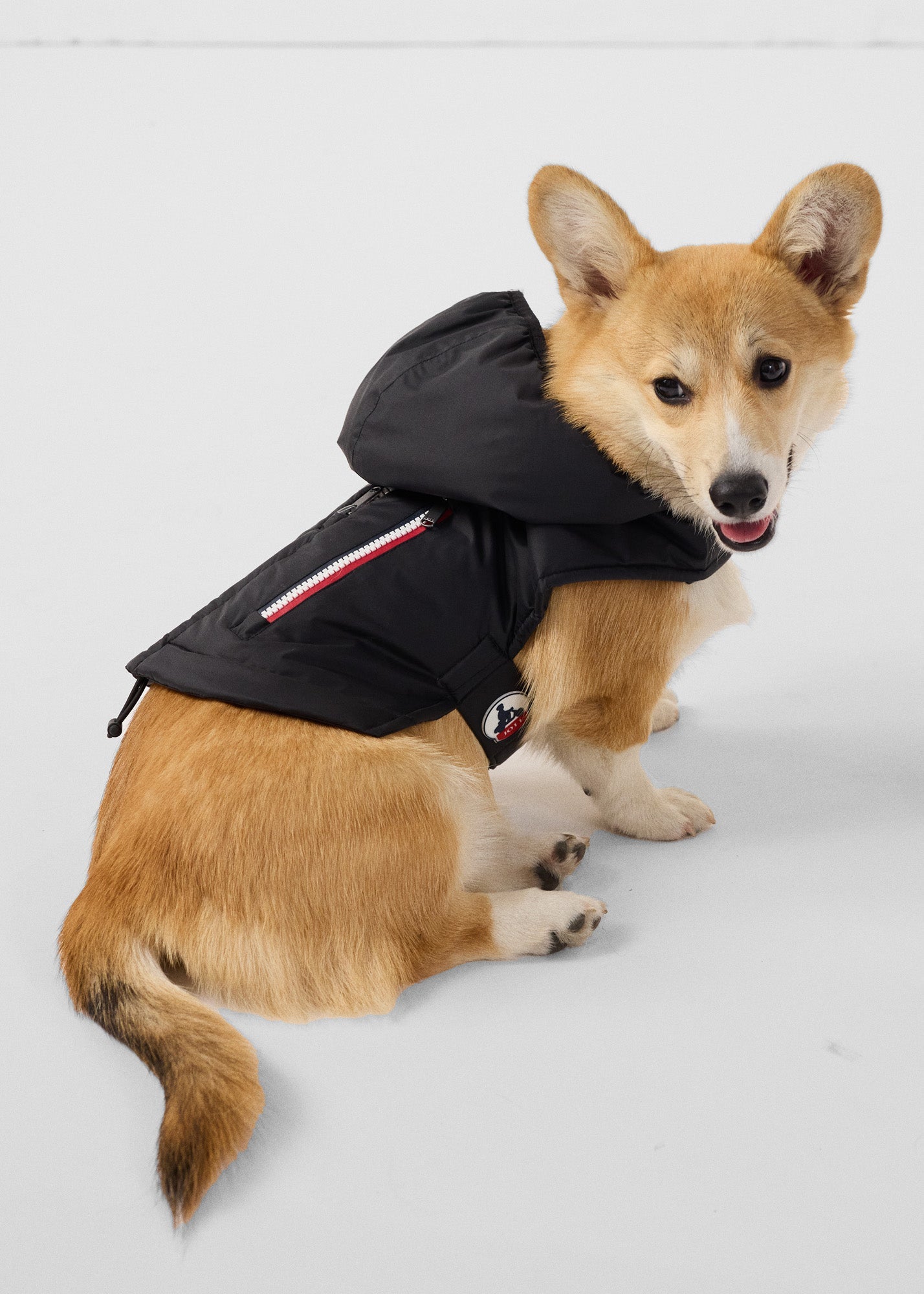 Imperméable pour chien Noir Balto
