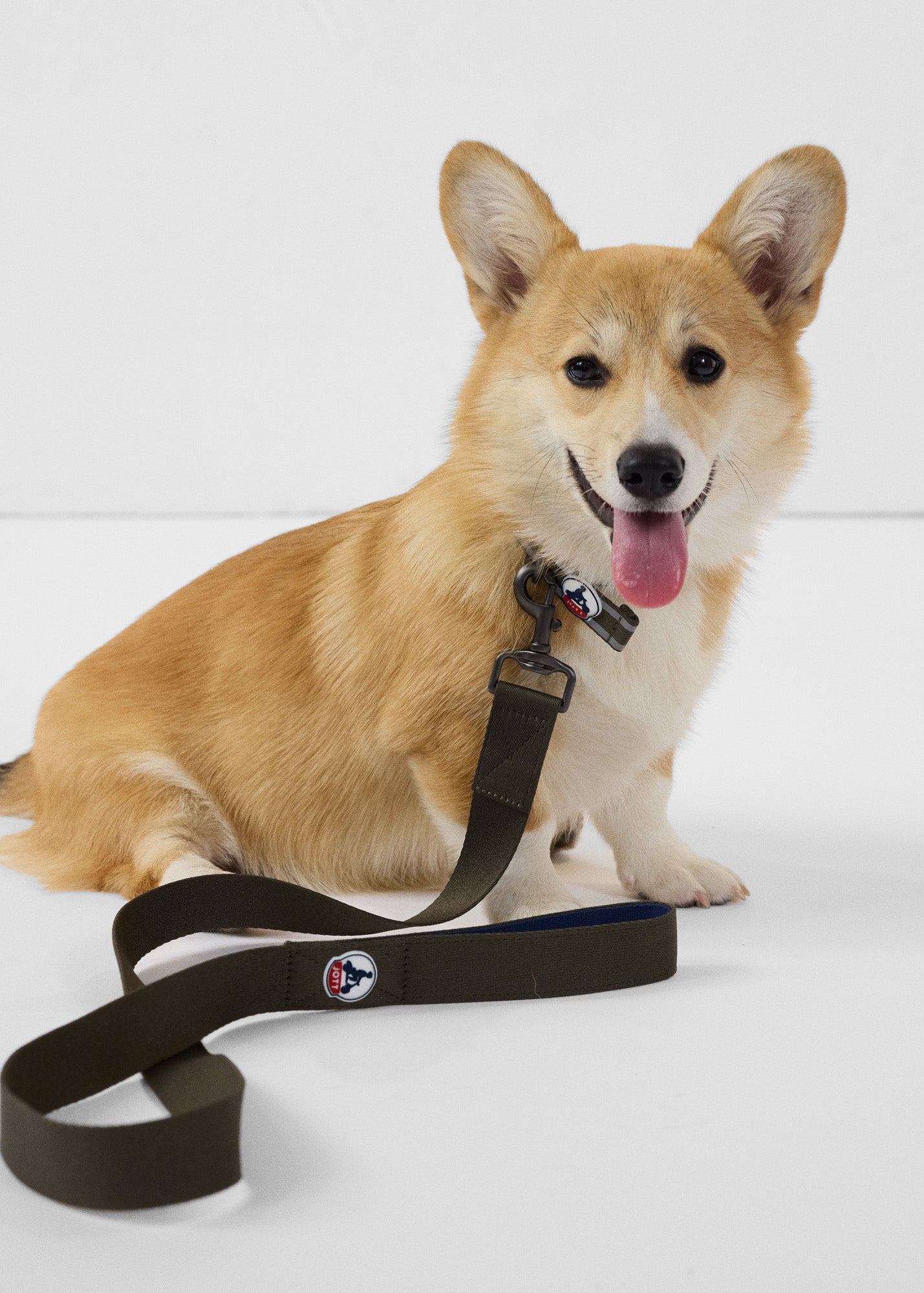 Laisse pour chien Army Max