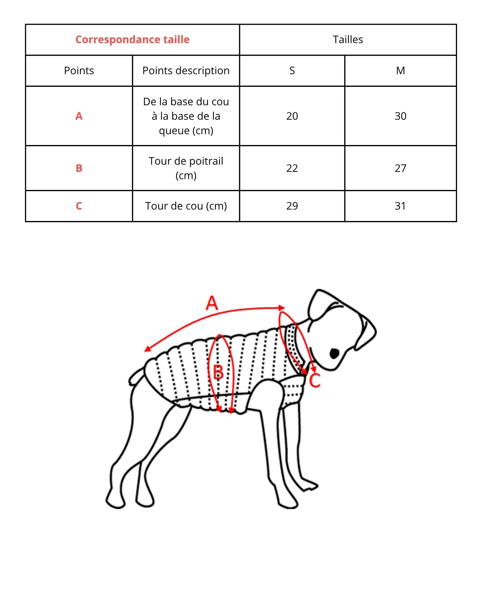 Imperméable pour chien Vert persan Balto